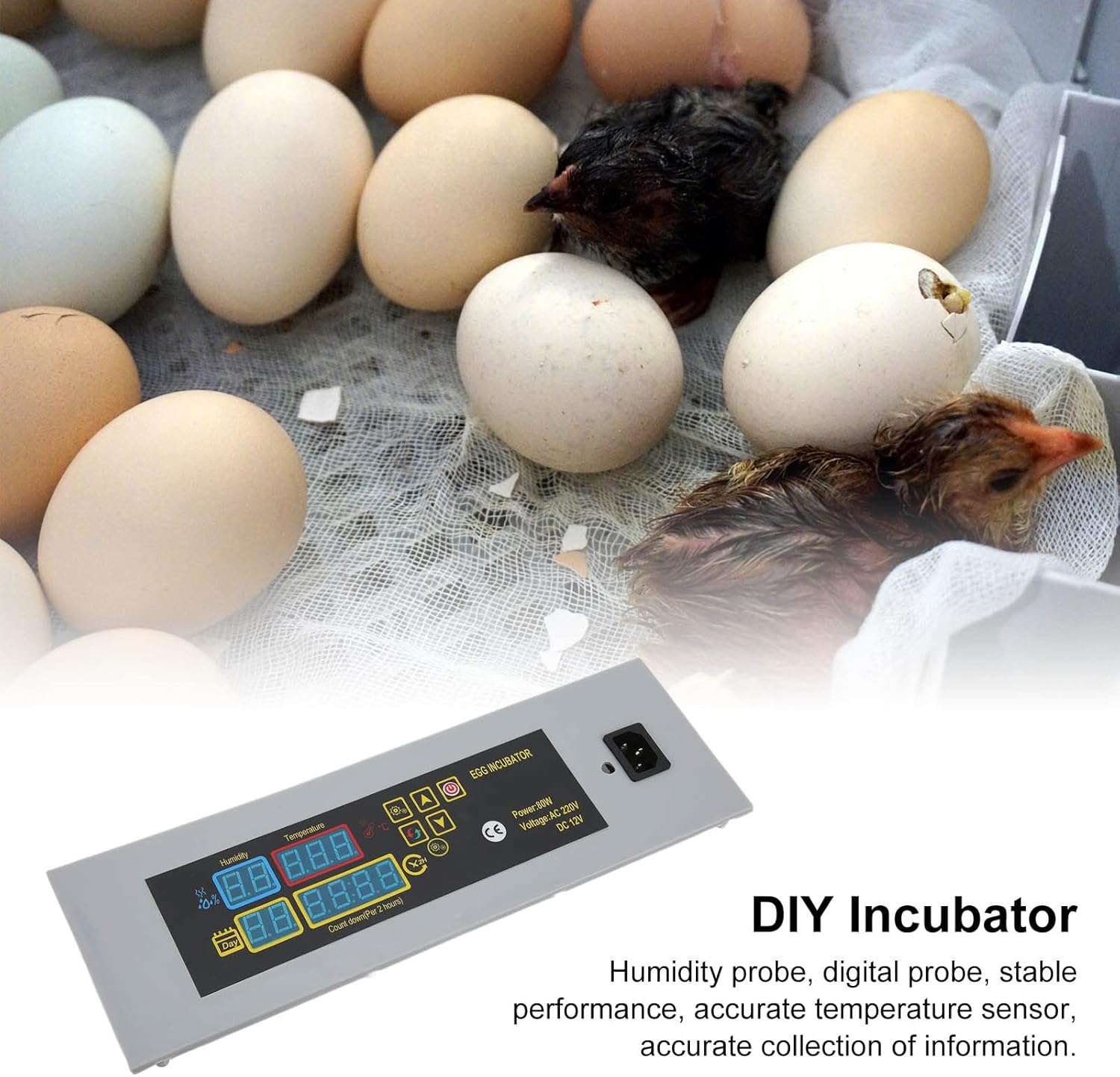 CHDE Digital Mini Fully Automatic Egg Incubator, Digital Poultry Incubator Stable Practical for Egg Incubator for Poultry Incubator(#3) 5 CHDE Digital Mini Fully Automatic Egg Incubator, Digital Poultry Incubator Stable Practical for Egg Incubator for Poultry Incubator(#3) - الصورة 5