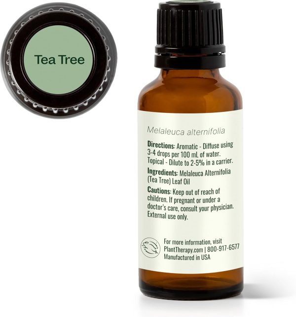 ⁦Plant Therapy Tea Tree Essential Oil 100% Pure, Undiluted, Natural Aromatherapy, Therapeutic Grade 30 mL (1 oz)⁩ - الصورة ⁦9⁩