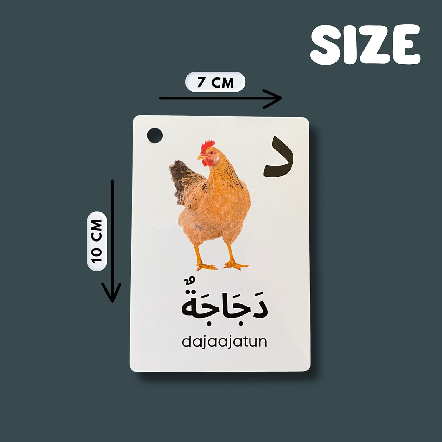 Albidaya Islamic Store Arabic Alphabet Flash Cards for Kids, Toddler and Adults - First Words, Letter Recognition, Homeschool Learning, Teacher Resource 5 Albidaya Islamic Store Arabic Alphabet Flash Cards for Kids, Toddler and Adults - First Words, Letter Recognition, Homeschool Learning, Teacher Resource - الصورة 5