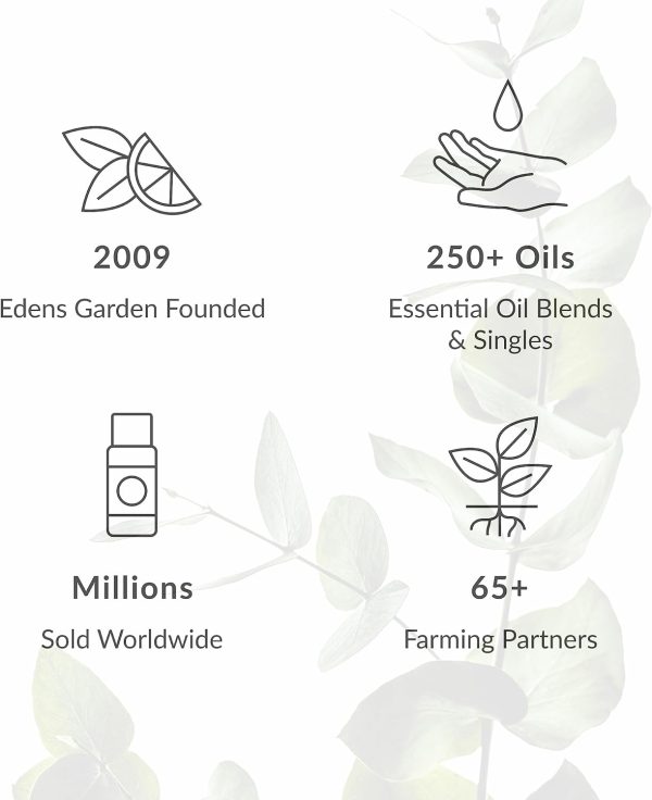 ⁦Edens Garden Home Aroma Essential Oil 6 Set, Best 100% Pure Aromatherapy Diffusion Kit (for Diffuser & Therapeutic Use), 10 ml⁩ - الصورة ⁦6⁩