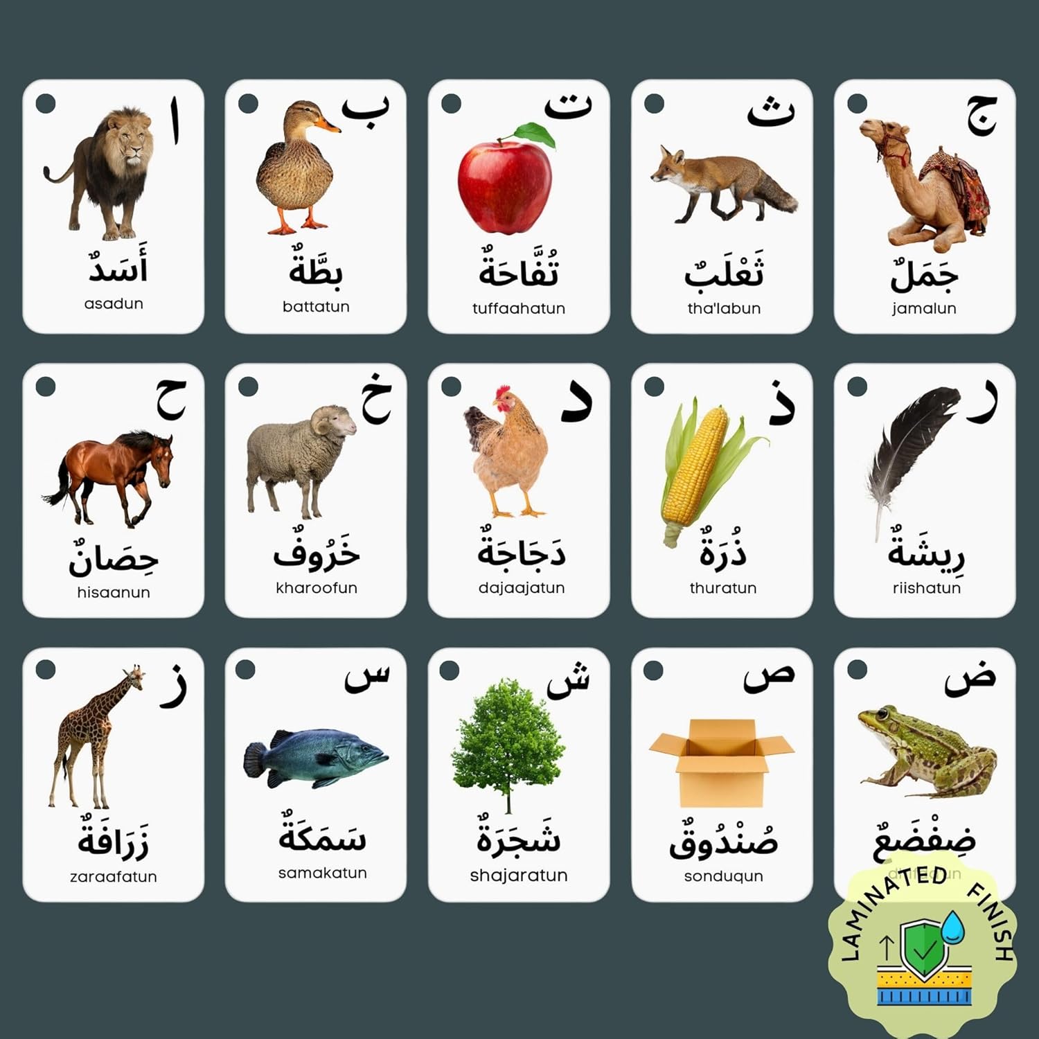 Albidaya Islamic Store Arabic Alphabet Flash Cards for Kids, Toddler and Adults - First Words, Letter Recognition, Homeschool Learning, Teacher Resource 3 Albidaya Islamic Store Arabic Alphabet Flash Cards for Kids, Toddler and Adults - First Words, Letter Recognition, Homeschool Learning, Teacher Resource - الصورة 3