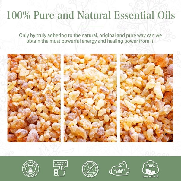 ⁦PHATOIL Frankincense Essential Oil 100ML, Pure Premium Grade Frankincense Essential Oils for Diffuser, Humidifier, Aromatherapy, Candle Making⁩ - الصورة ⁦7⁩