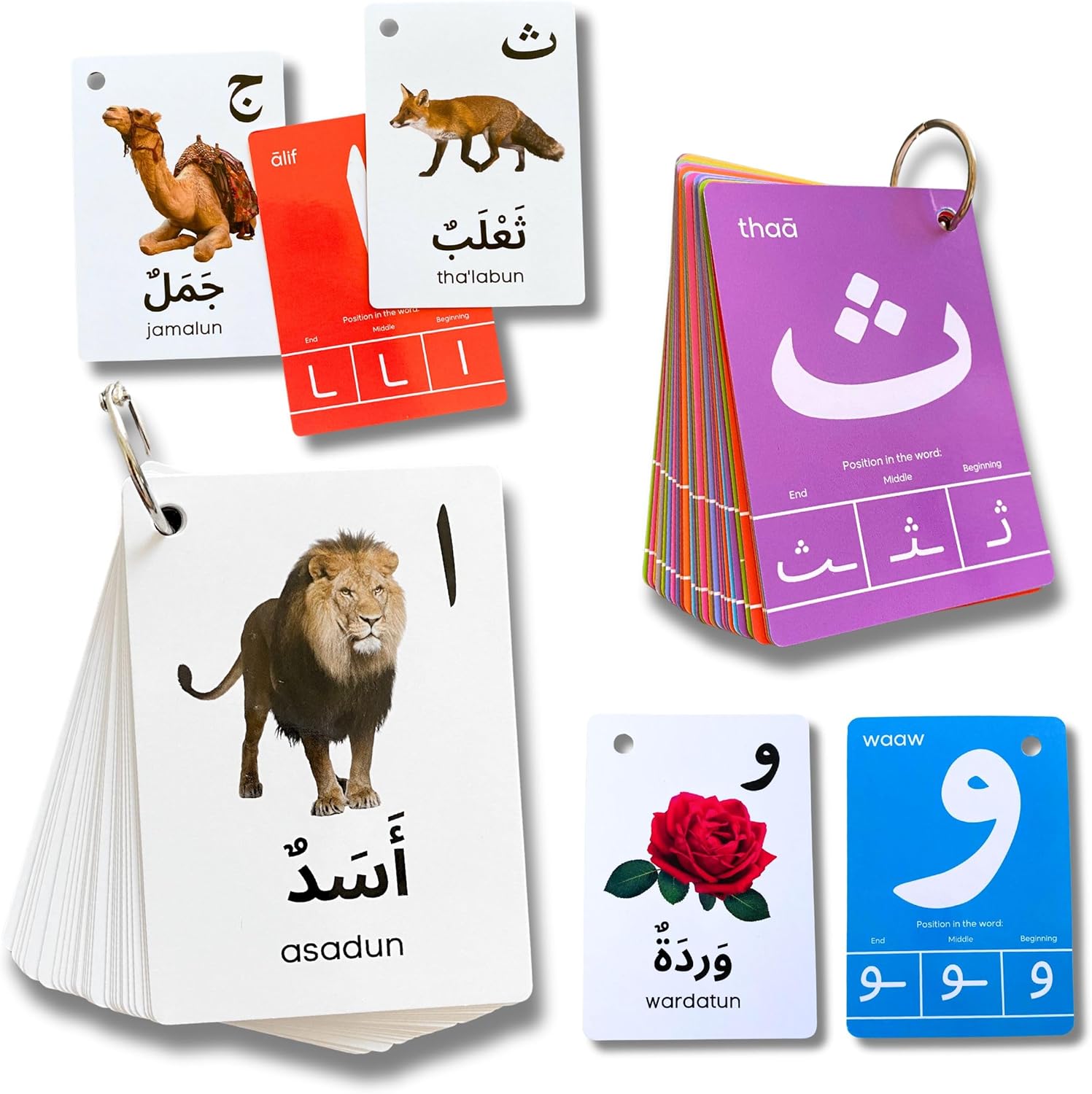 Albidaya Islamic Store Arabic Alphabet Flash Cards for Kids, Toddler and Adults - First Words, Letter Recognition, Homeschool Learning, Teacher Resource 1 Albidaya Islamic Store Arabic Alphabet Flash Cards for Kids, Toddler and Adults - First Words, Letter Recognition, Homeschool Learning, Teacher Resource