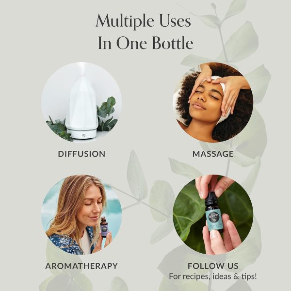 ⁦Edens Garden Home Aroma Essential Oil 6 Set, Best 100% Pure Aromatherapy Diffusion Kit (for Diffuser & Therapeutic Use), 10 ml⁩ - الصورة ⁦4⁩