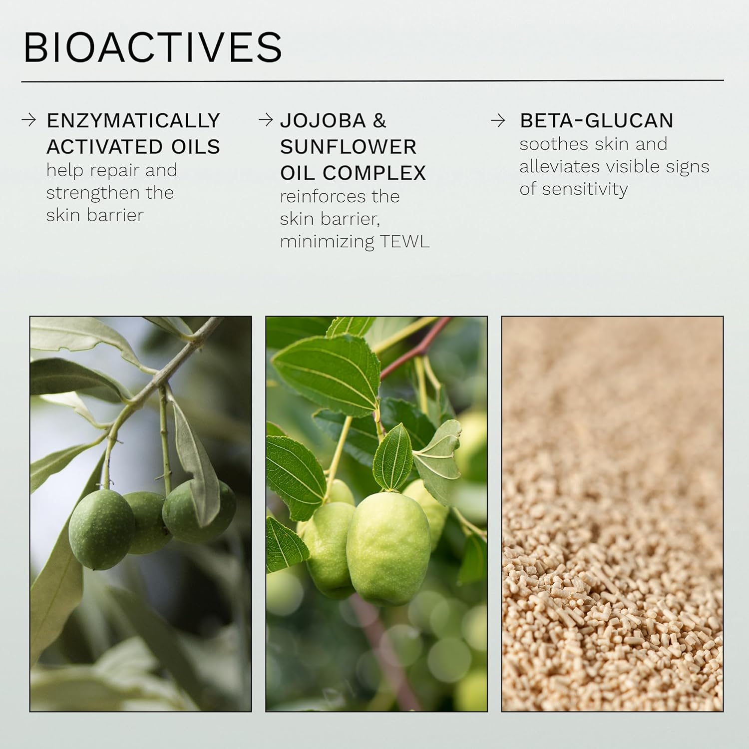 REN Clean Skincare Evercalm Overnight Recovery Balm for Women 1 oz Balm 4 REN Clean Skincare Evercalm Overnight Recovery Balm for Women 1 oz Balm - الصورة 4