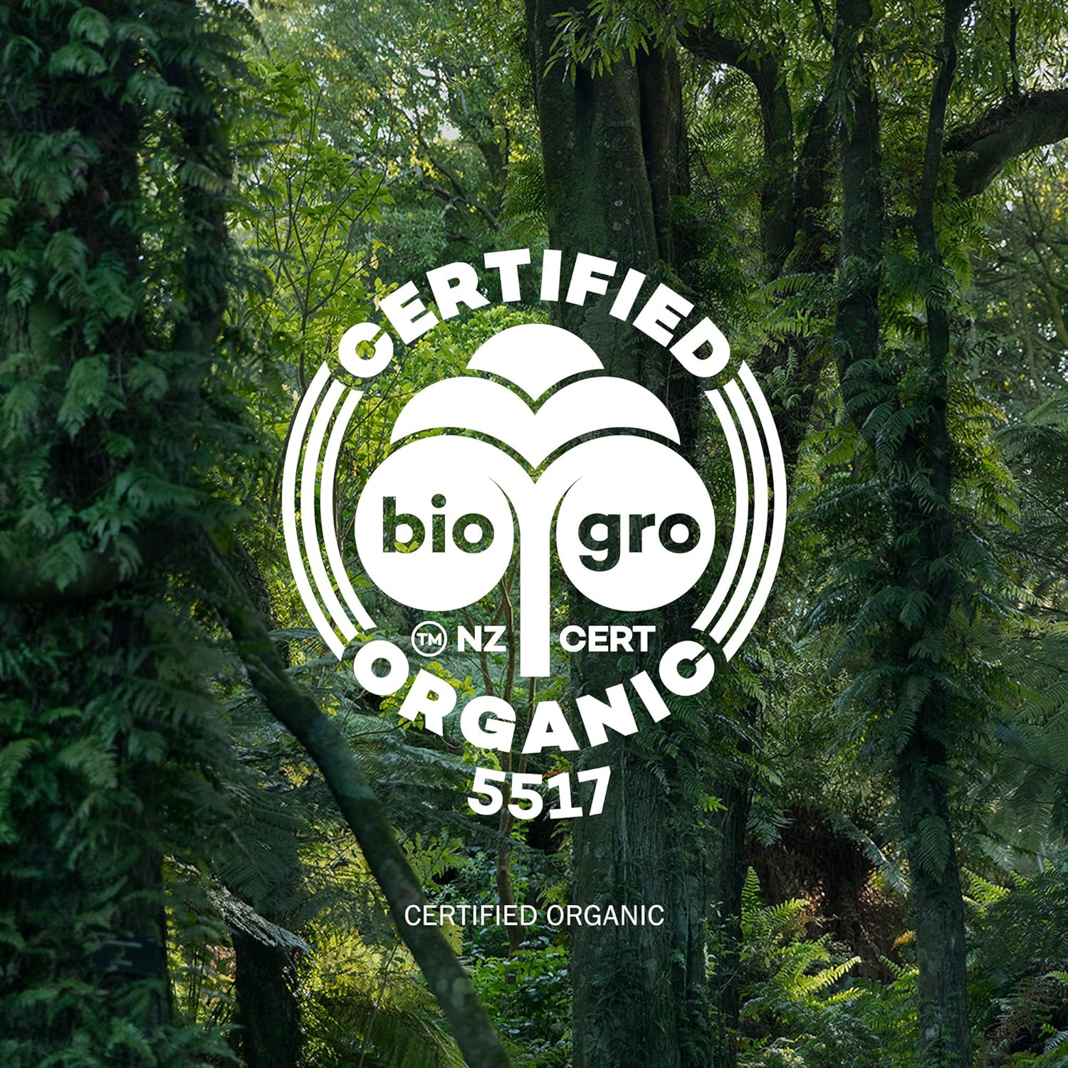 Antipodes Hosanna H2O Intensive Skin-Plumping Facial Serum – Hydrating Serum – Collagen Face Serum with New Zealand Bioactives – Dry Skin & Dehydrated Skin – 30ml 5 Antipodes Hosanna H2O Intensive Skin-Plumping Facial Serum – Hydrating Serum – Collagen Face Serum with New Zealand Bioactives – Dry Skin & Dehydrated Skin – 30ml - الصورة 5