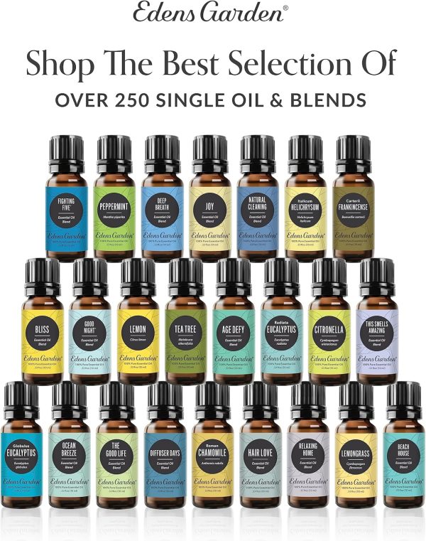 ⁦Edens Garden Home Aroma Essential Oil 6 Set, Best 100% Pure Aromatherapy Diffusion Kit (for Diffuser & Therapeutic Use), 10 ml⁩ - الصورة ⁦2⁩