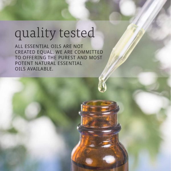 ⁦NOW Essential Oils - Peppermint Oil (100% Pure) - 16 fl. oz (473 ml) by NOW⁩ - الصورة ⁦6⁩
