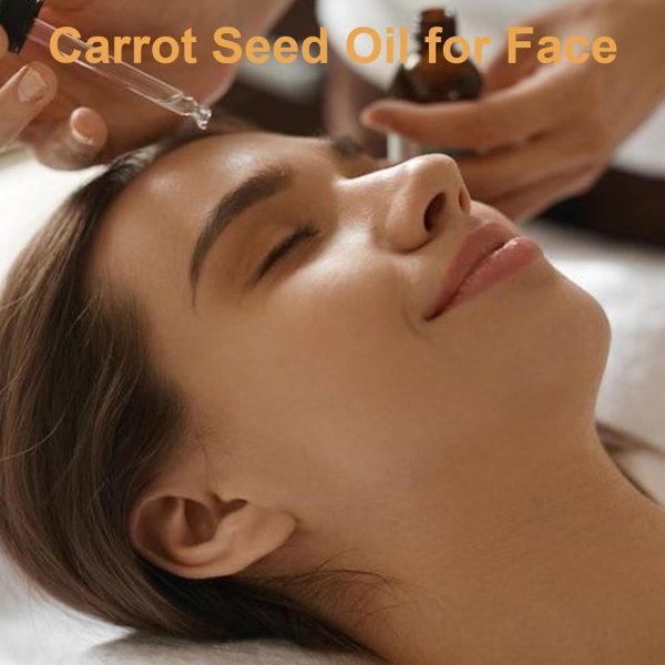 ⁦Carrot Seed Oil,Natural Cold Pressed Organic Carrot Oil for Face, Firming Skin, Moisturizer for Hair, Skin, and Nails, 30ml⁩ - الصورة ⁦3⁩