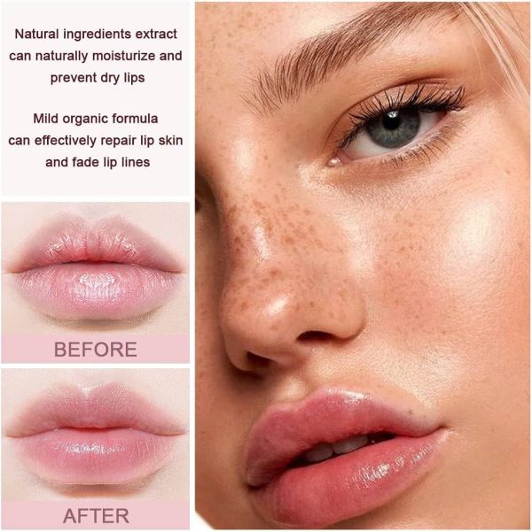 ⁦Azonee Fruit Flavored Lip Balm Set, 6-Pcs Vitamin E Honey Infused Lip Care for Chapped Lips, Natural Moisturizing Lip Balm for Kids Adults, Includes Green Tea Carrot Banana Grape Peach Orange (Set 3)⁩ - الصورة ⁦2⁩