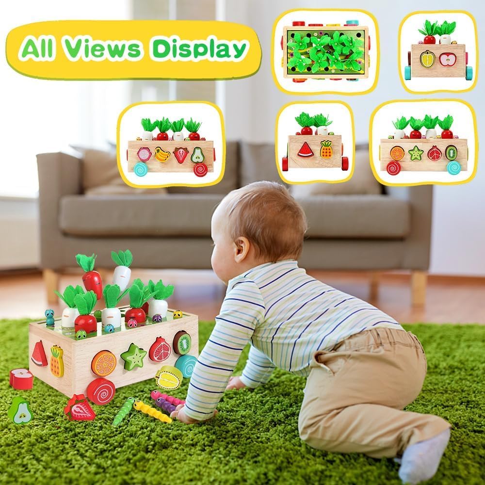 EDUTREE Toddlers Montessori Wooden Educational Toys for Baby Boys Girls Age 1 2 3 Year Old,Wooden Sorting Toys Preschool Educational Gift, Wood Preschool Learning Fine Motor Skills Game, Carrots Gifts 3 EDUTREE Toddlers Montessori Wooden Educational Toys for Baby Boys Girls Age 1 2 3 Year Old,Wooden Sorting Toys Preschool Educational Gift, Wood Preschool Learning Fine Motor Skills Game, Carrots Gifts - الصورة 3