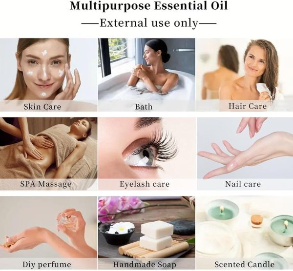 ⁦Carrot Seed Oil,Natural Cold Pressed Organic Carrot Oil for Face, Firming Skin, Moisturizer for Hair, Skin, and Nails, 30ml⁩ - الصورة ⁦6⁩