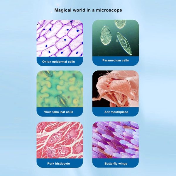 ⁦BROLEO Microscope, Easy To Use Monocular Microscope Set 640X for School⁩ - الصورة ⁦3⁩