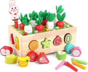 EDUTREE Toddlers Montessori Wooden Educational Toys for Baby Boys Girls Age 1 2 3 Year Old,Wooden Sorting Toys Preschool Educational Gift, Wood Preschool Learning Fine Motor Skills Game, Carrots Gifts