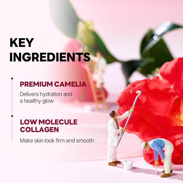 ⁦ROUND LAB Camellia Collagen Mask, 30min Hydrogel Mask, Quick Hydration, Firming&Pore Minimizing, For sensitive skin, Micro molecule collagen, Facial Mask, 34 g/1.19 Fl Oz 4ea⁩ - الصورة ⁦5⁩