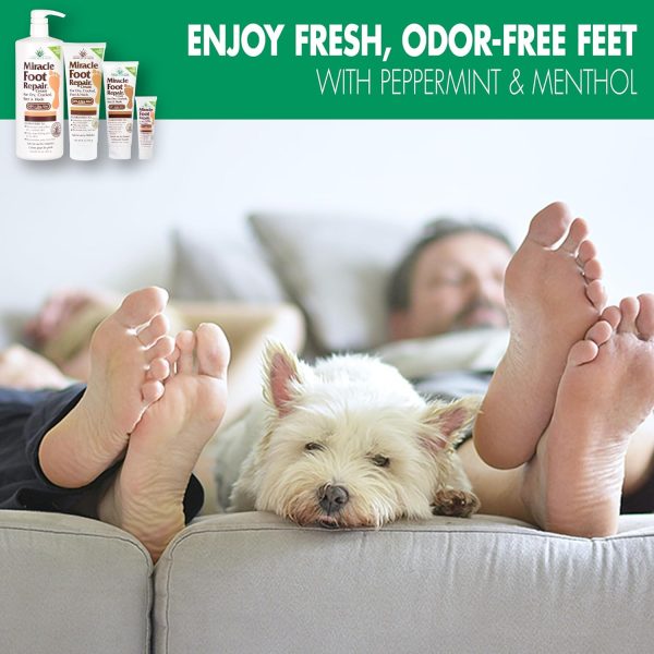 ⁦Miracle of Aloe Foot Repair Cream (8 oz / 2-Pack) Repairs Dry Cracked Heels and Feet, 60% Pure UltraAloe Moisturizes, Softens, and Repairs⁩ - الصورة ⁦4⁩