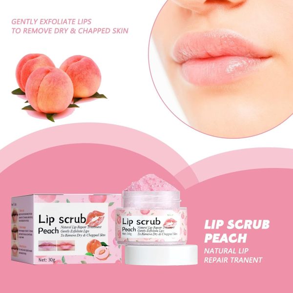 ⁦NALACAL Lip Scrub Exfoliator and Moisturizer, Natural Lip Care for Dry and Cracked Lips, Peach Sugar Lip Scrub for Hydration and Smoothness, Gentle Lip Care with Lip Brush⁩ - الصورة ⁦7⁩