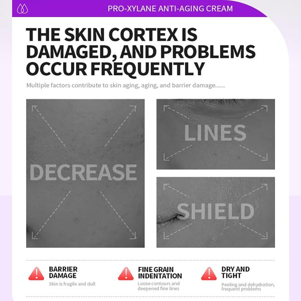 ⁦Skindilys Australia Pro-Xilane Anti-Aging Face Cream 30g / Firm Skin, Reduce Wrinkles, Ceramides and Multi-Weight Hyaluronic Acids Restore Moisture, Strengthen Barrier, Smooth Texture, Protect Skin⁩ - الصورة ⁦8⁩