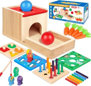 Montessori Toys for 1 2 3 Year Old Boy Girl, Play Kit Includes Object Permanence Box, Montessori Coin Box, Carrot Harvest Game, Matchstick Color Drop Shape Sorter and Color Stacker Game (Six in one)