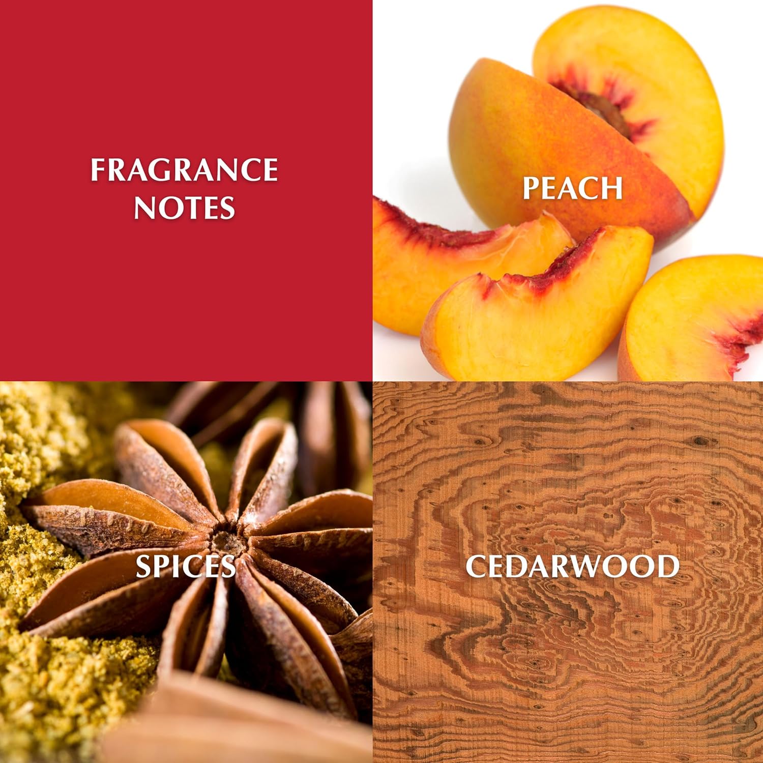 Elizabeth Taylor Diamonds & Rubies for Women Eau de Toilette 100ml 2 Elizabeth Taylor Diamonds & Rubies for Women Eau de Toilette 100ml - الصورة 2