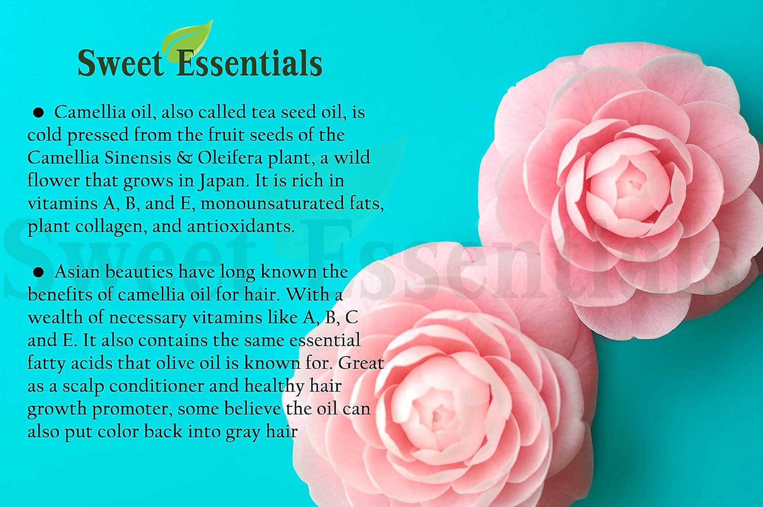Sweet Essentials Organic Camellia Seed Oil | Imported From Japan | 8oz Bottle | 100% Pure | 100% Organic | For Hair & Skin Use | Japanese Beauty Oil | Camellia Oleifera 5 Sweet Essentials Organic Camellia Seed Oil | Imported From Japan | 8oz Bottle | 100% Pure | 100% Organic | For Hair & Skin Use | Japanese Beauty Oil | Camellia Oleifera - الصورة 5