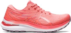 Asics GEL-KAYANO 29 Mens Running Shoe