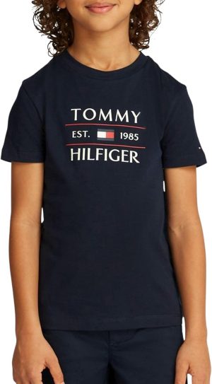 TOMMY HILFIGER Boys TOMMY FLAG HILFIGER REG TEE SS T-shirts (pack of 1)