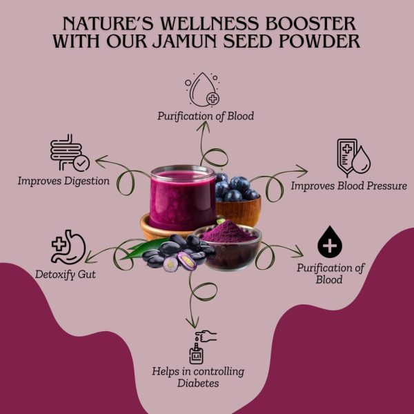 ⁦Accessorize Kingdom Jamun Seed Powder for Skin & Hair – 100% Natural & Pure | Supports Clear Skin, Controls Oil & Reduces Blemishes | Strengthens Hair, Nourishes Scalp & Promotes Growth | (100gm)⁩ - الصورة ⁦5⁩