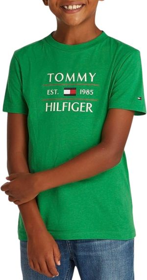 TOMMY HILFIGER Boys TOMMY FLAG HILFIGER REG TEE SS T-shirts (pack of 1)