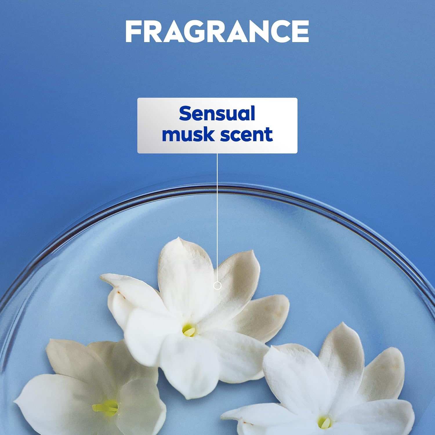 NIVEA Body Lotion Sensual Musk, Musk Scent, Normal to Dry Skin, 250ml 5 NIVEA Body Lotion Sensual Musk, Musk Scent, Normal to Dry Skin, 250ml - الصورة 5