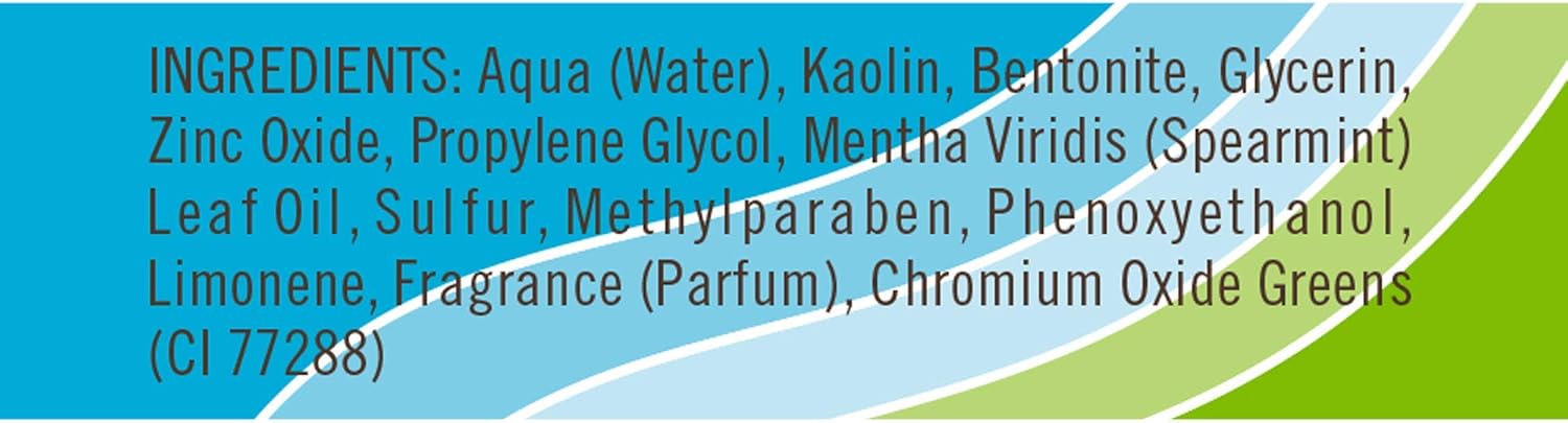 QUEEN HELENE Masque Mint Julep 8 oz, for Smoothening 3 QUEEN HELENE Masque Mint Julep 8 oz, for Smoothening - الصورة 3