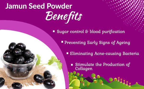 ⁦Accessorize Kingdom Jamun Seed Powder for Skin & Hair – 100% Natural & Pure | Supports Clear Skin, Controls Oil & Reduces Blemishes | Strengthens Hair, Nourishes Scalp & Promotes Growth | (100gm)⁩ - الصورة ⁦4⁩