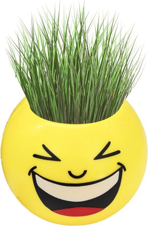 MIBRU Toy Grass Smiley Head وعاء زراعة صغير مع التربة و البذور للاطفال