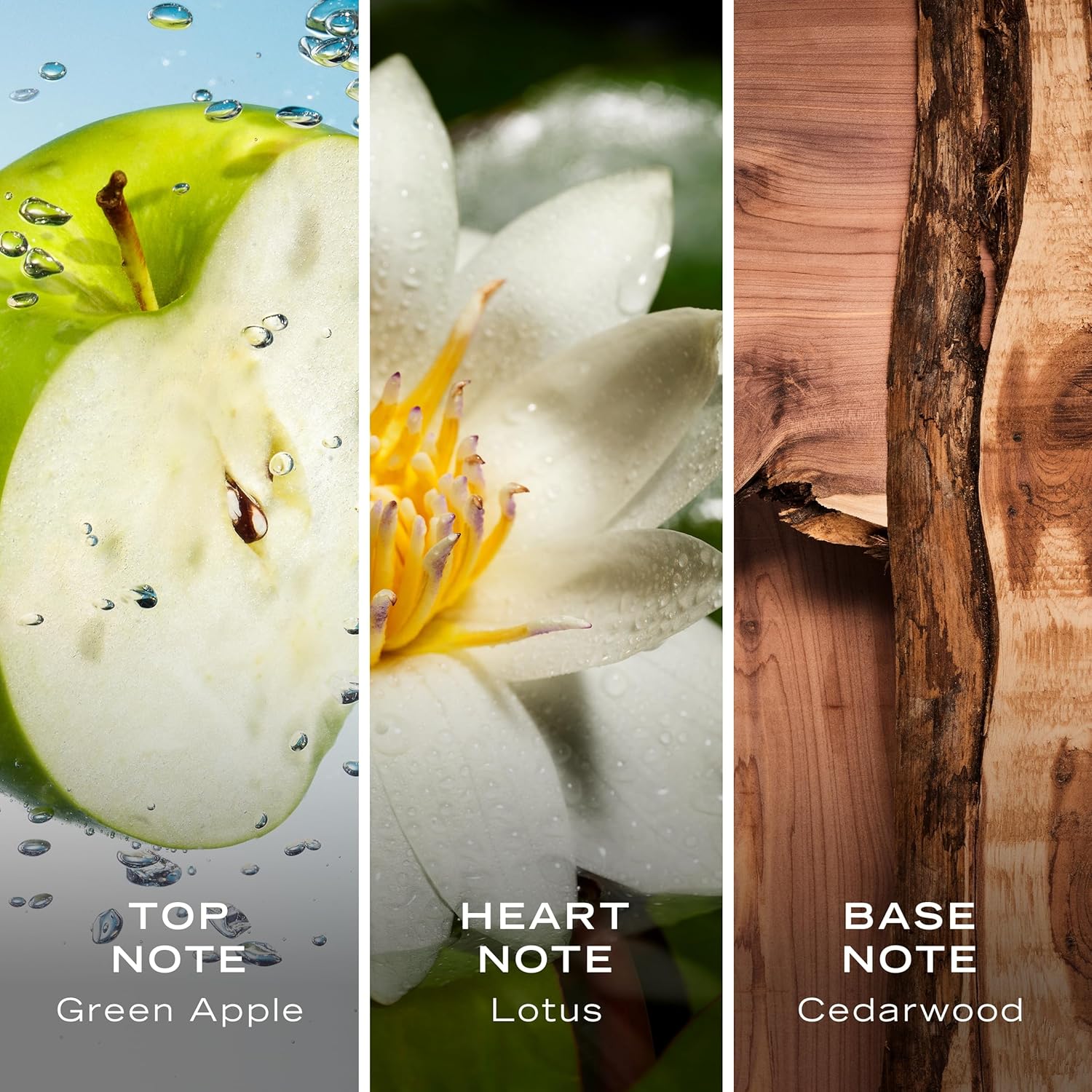 او دي تواليت فوياج للرجال من نوتيكا، 6.7 اونصة سائلة، أزرق 3 او دي تواليت فوياج للرجال من نوتيكا، 6.7 اونصة سائلة، أزرق - الصورة 3