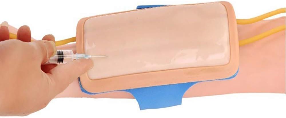 نموذج جلد بشري للتدريب على العفن - نموذج عملي لبزل الوريد - للممرضات والمتدربات والطبيب عن طريق الحقن الوريدي، للتدريب على التسريب مصمم للتدريب والتعليم 1 نموذج جلد بشري للتدريب على العفن - نموذج عملي لبزل الوريد - للممرضات والمتدربات والطبيب عن طريق الحقن الوريدي، للتدريب على التسريب مصمم للتدريب والتعليم