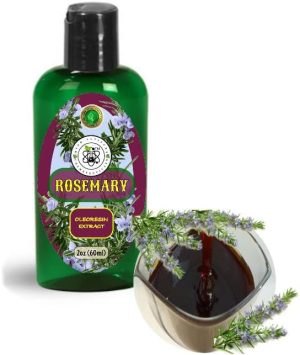 زيت الزيتون روزماري من هاي التيتيود ناتشورالز (ROE) - مستخلص روزمارينوس اوفيسيناليس (7% حمض كارنوسيك) - مضاد للاكسدة التجميلية ومضاد للنتنة - 2 اونصة سائلة