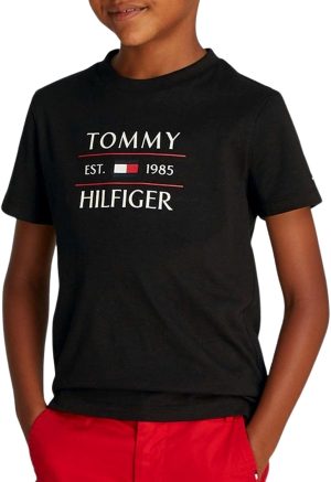 TOMMY HILFIGER Boys TOMMY FLAG HILFIGER REG TEE SS T-shirts (pack of 1)