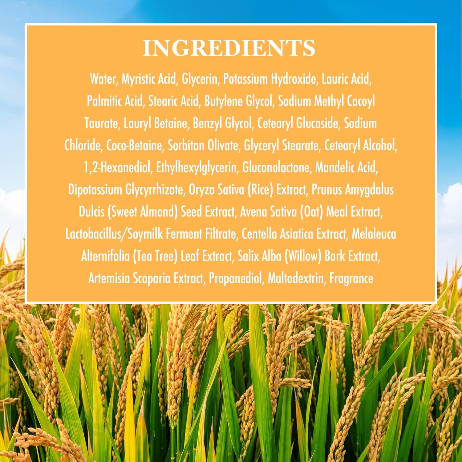 81Ae yzZsrL. AC SL1500