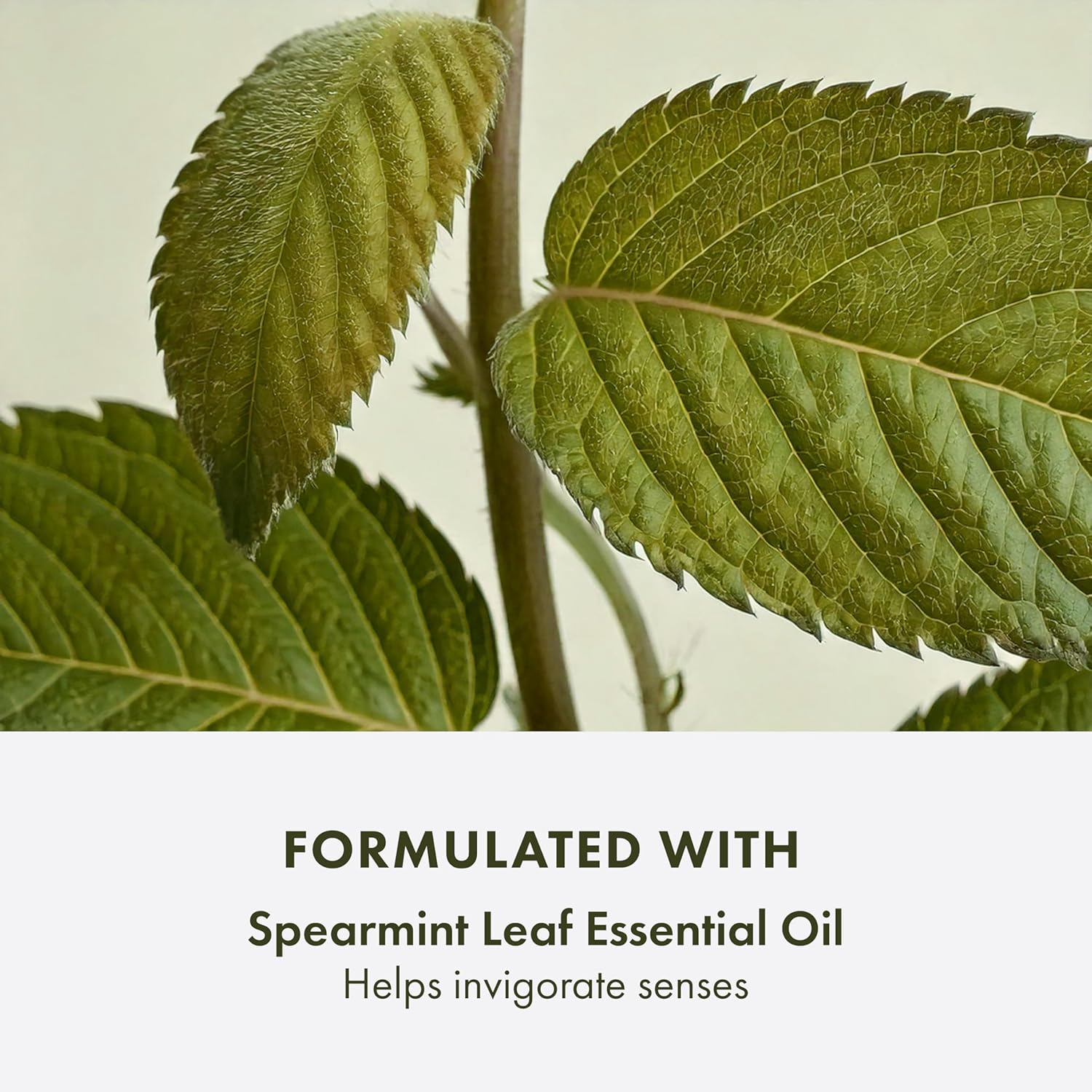 غسول الوجه شيكس آند بالانسز فروثي من أوريجينز، 147 مل 5 غسول الوجه شيكس آند بالانسز فروثي من أوريجينز، 147 مل - الصورة 5