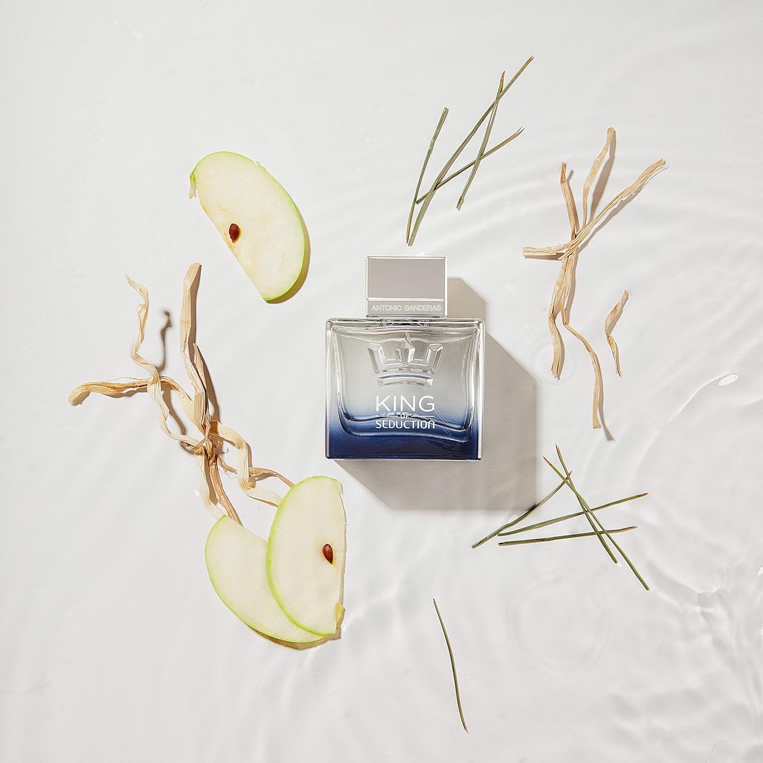 عطر كينج اوف سيدكشن للرجال من انطونيو بانديراس - او دو تواليت، 100 مل (65085556) 7 عطر كينج اوف سيدكشن للرجال من انطونيو بانديراس - او دو تواليت، 100 مل (65085556) - الصورة 7