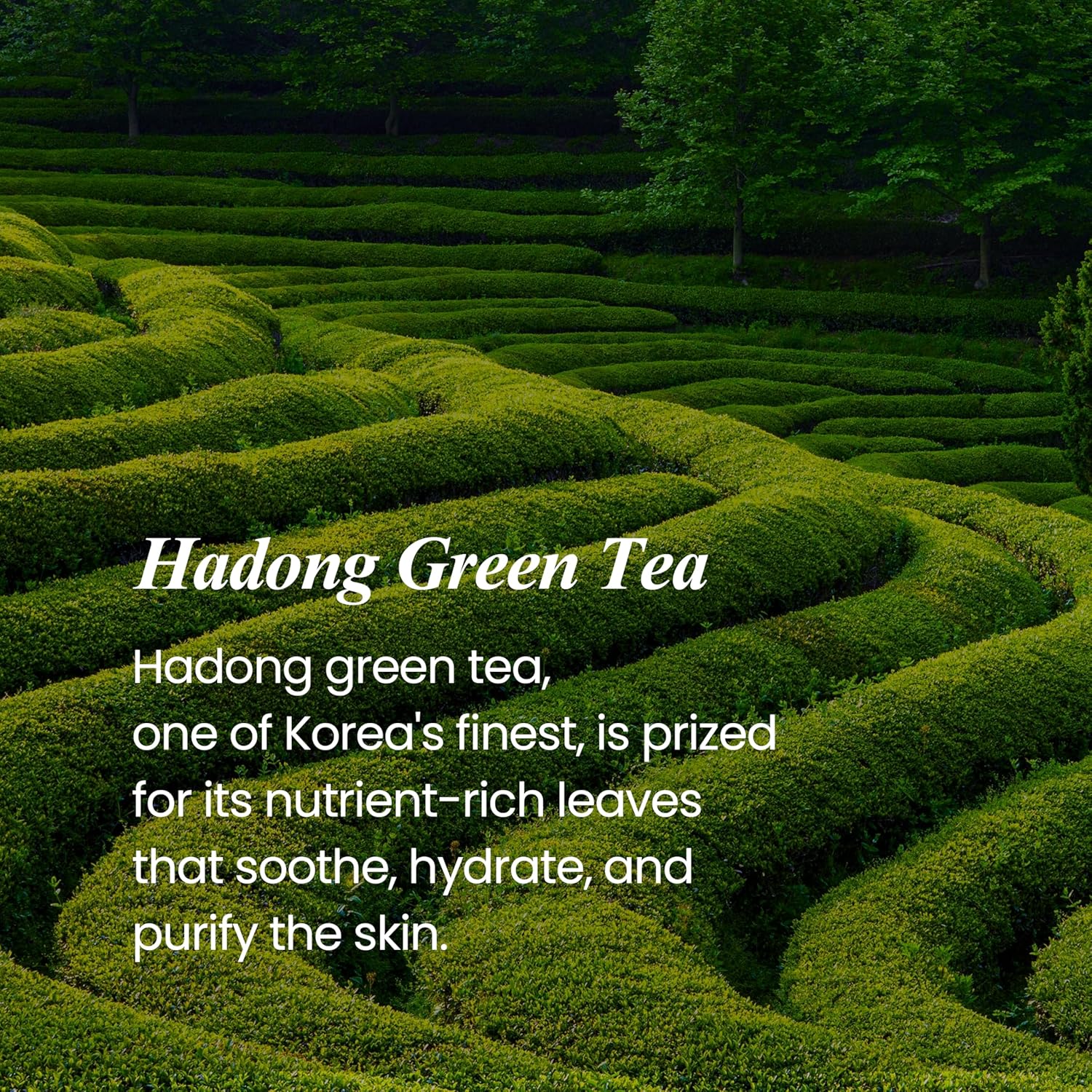 A1L9k1qOq+L. AC SL1500