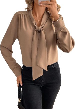 بلوزة نسائية باكمام طويلة وربطة عنق وفيونكة، قميص عمل كاجوال انيق للمكتب، قميص رسمي احترافي خفيف الوزن من الشيفون او الحرير، مقاس XL