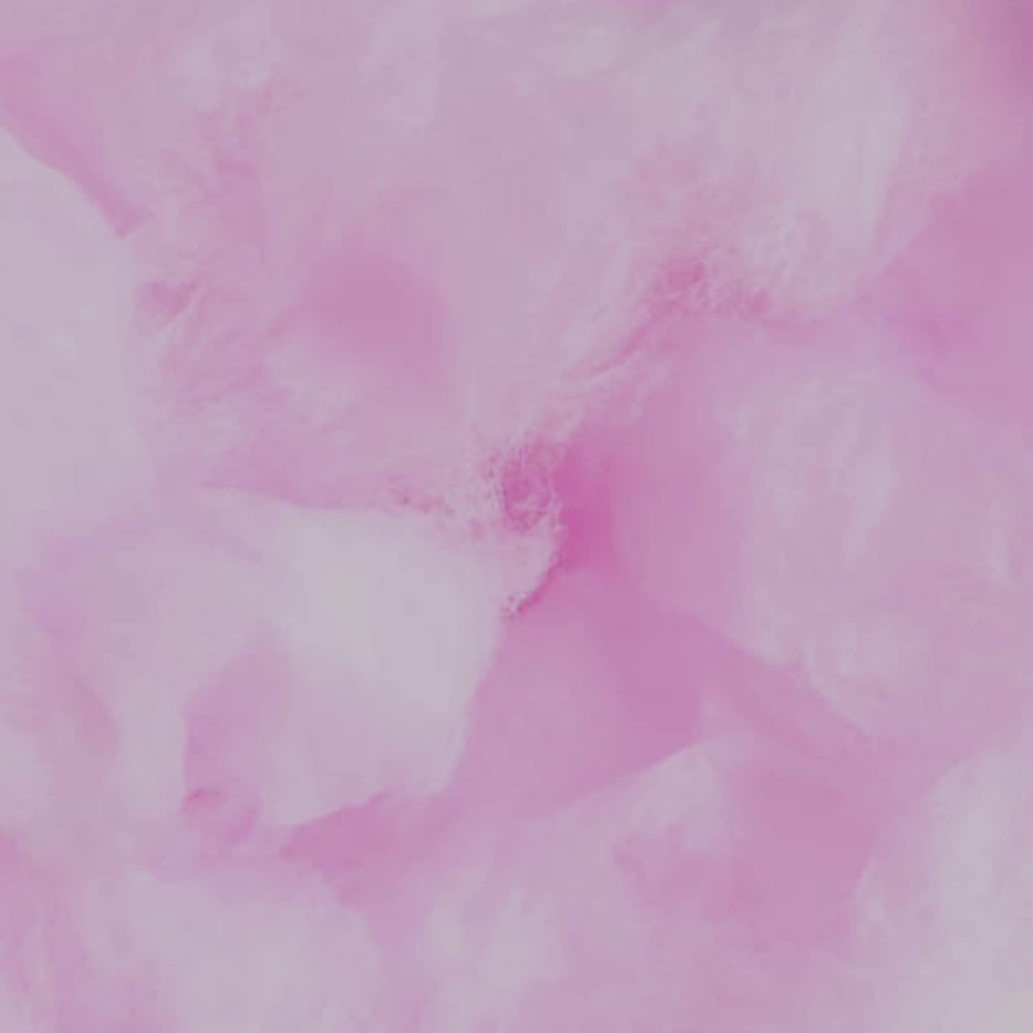 41r22HVahpL. AC SL1500