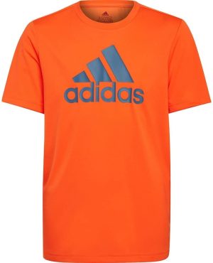 تيشيرت ايروريدي ديزايند تو موف مع شعار كبير للأولاد من اديداس