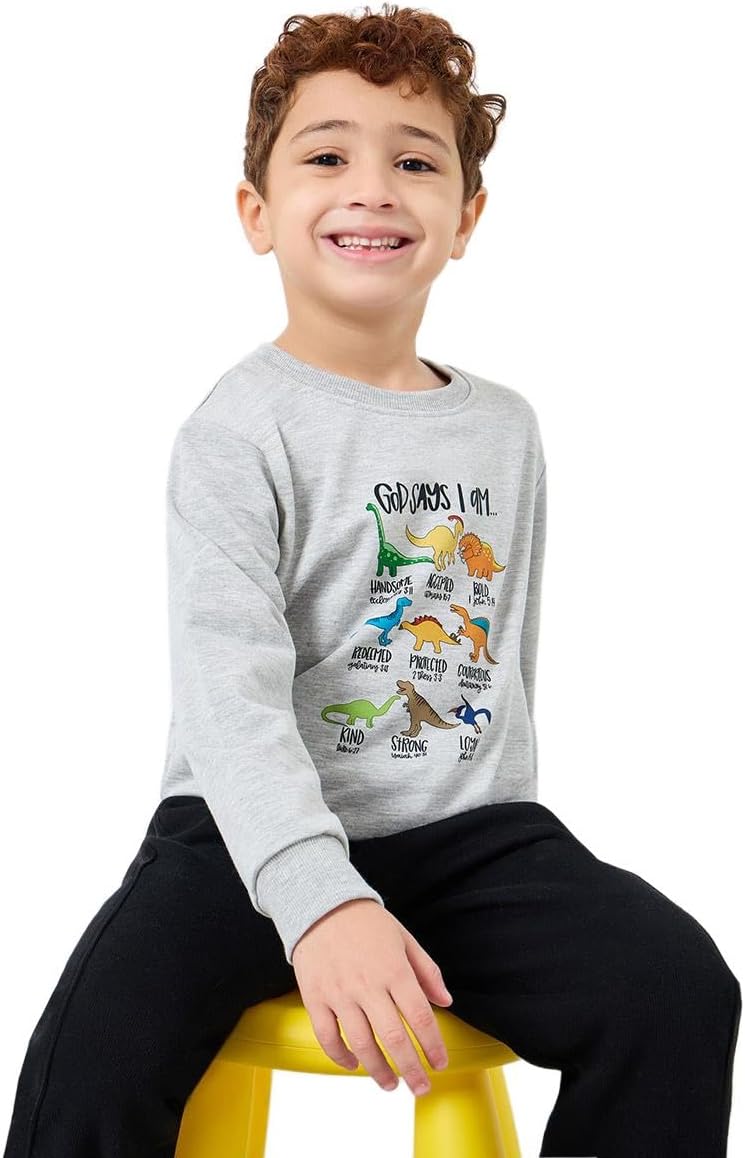 سويت شيرت للأولاد بطباعة ديناصور رمادي من ستايلي
