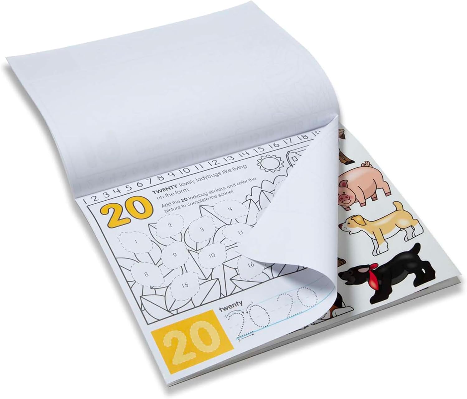 لوحة نشاط الارقام، ورقة، ألوان متعددة 4 لوحة نشاط الارقام، ورقة، ألوان متعددة - الصورة 4