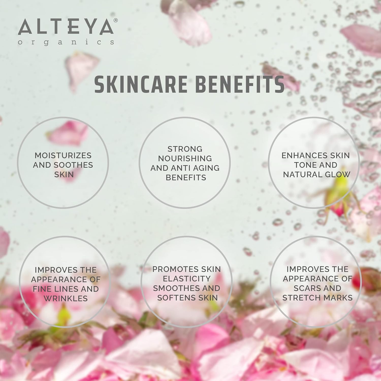 71W9b2YjT9L. AC SL1500