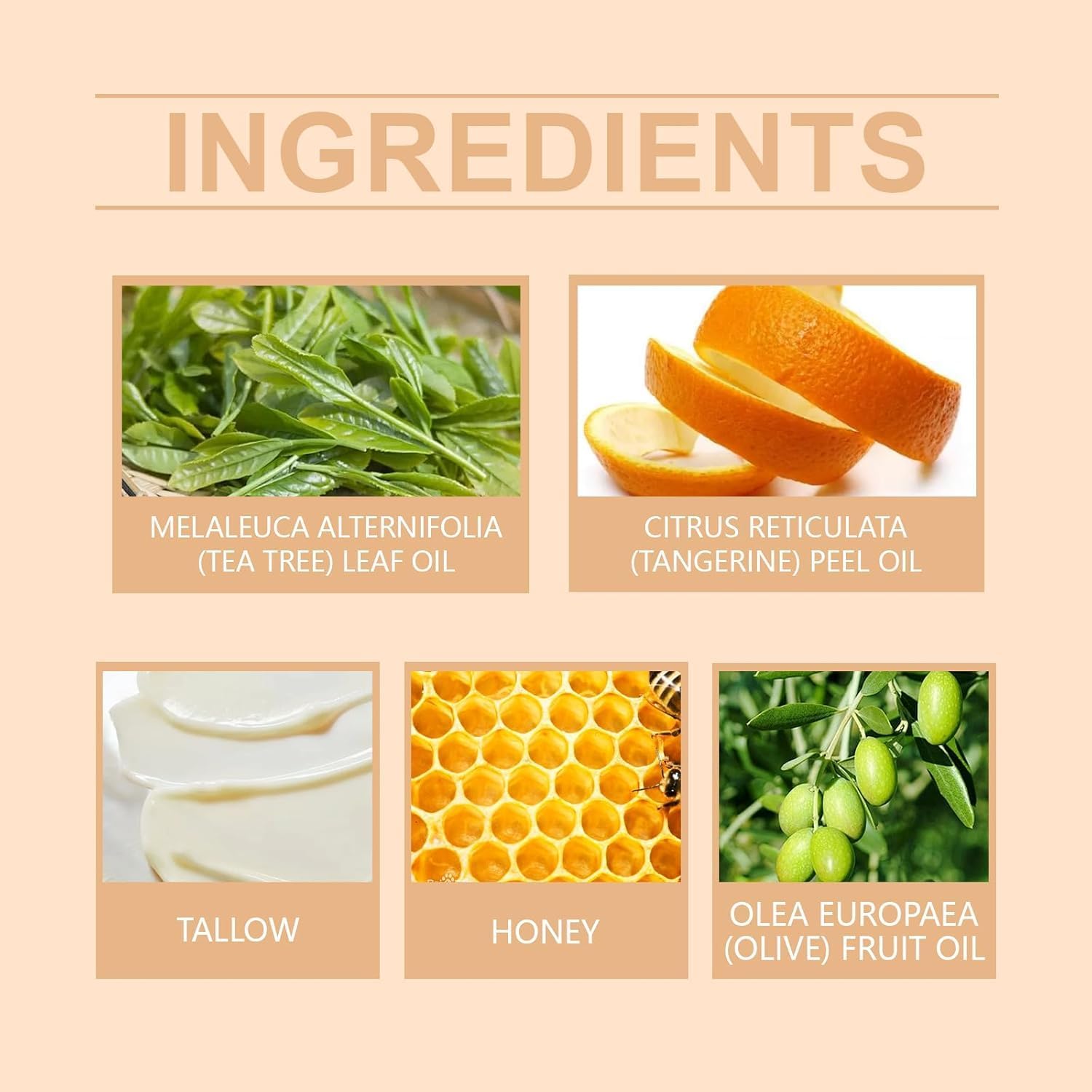 71gUsjE4KBL. AC SL1500