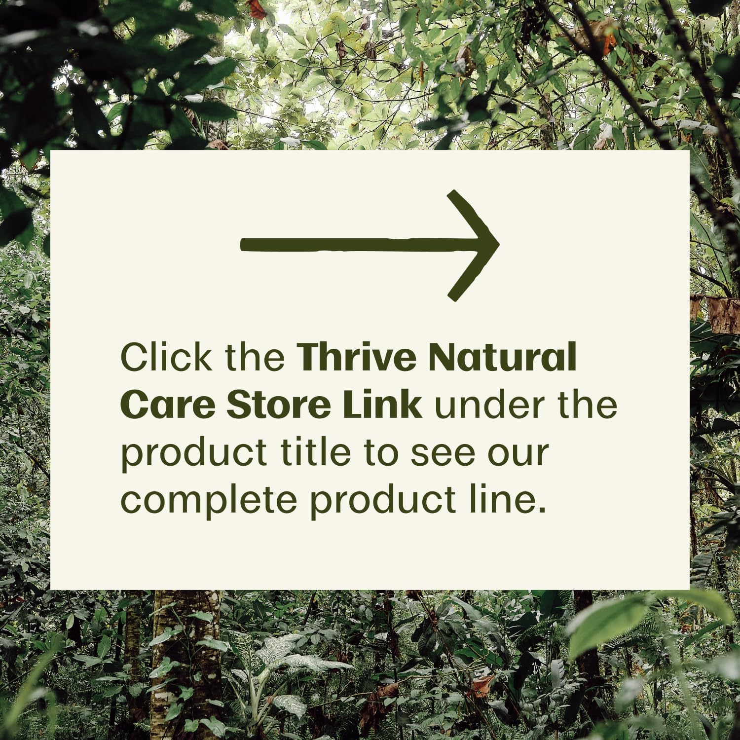 81 aPhXnYL. AC SL1500