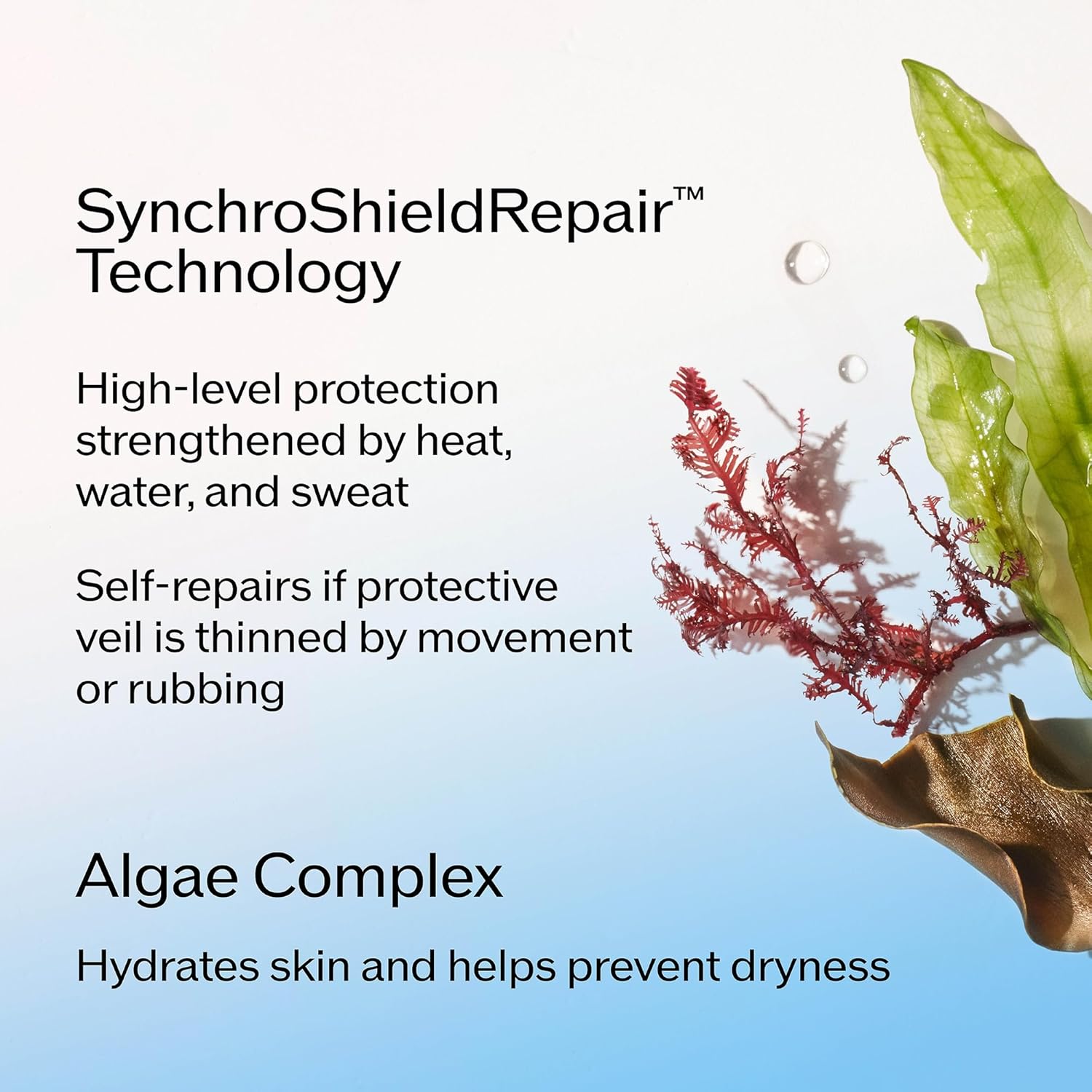 شيسيدو لوشن حماية من الشمس من التيميت - 50 مل - واقي شمس غير مرئي واسع الطيف بعامل حماية من الشمس 60+ للوجه والجسم - تركيبة خفيفة الوزن - لجميع انواع البشرة - خال من اوكسي بنزون واوكتينوكسيت 3 شيسيدو لوشن حماية من الشمس من التيميت - 50 مل - واقي شمس غير مرئي واسع الطيف بعامل حماية من الشمس 60+ للوجه والجسم - تركيبة خفيفة الوزن - لجميع انواع البشرة - خال من اوكسي بنزون واوكتينوكسيت - الصورة 3